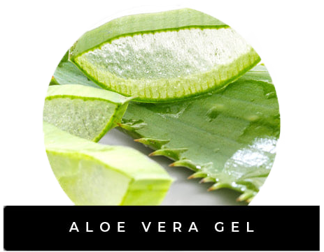 aloe vera, taka glo, takaglo