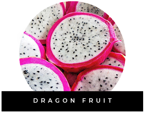 dragon fruit, taka glo, takaglo